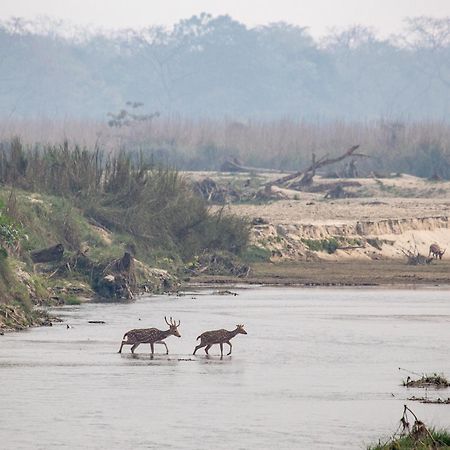 Sanctuary Chitwan National Park Buitenkant foto