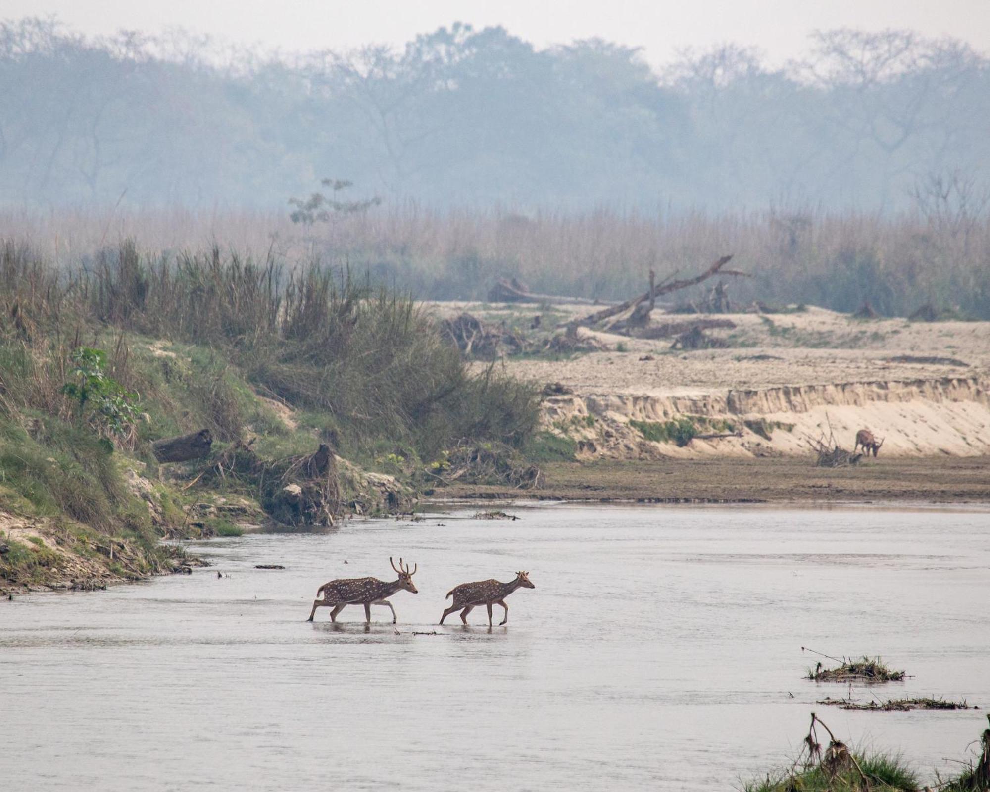 Sanctuary Chitwan National Park Buitenkant foto