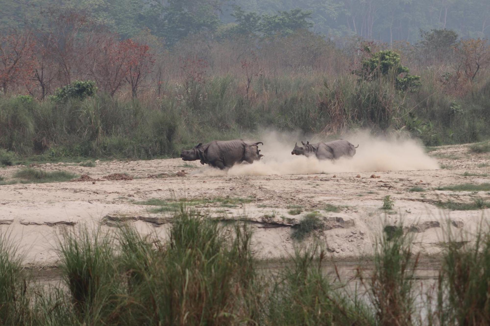 Sanctuary Chitwan National Park Buitenkant foto