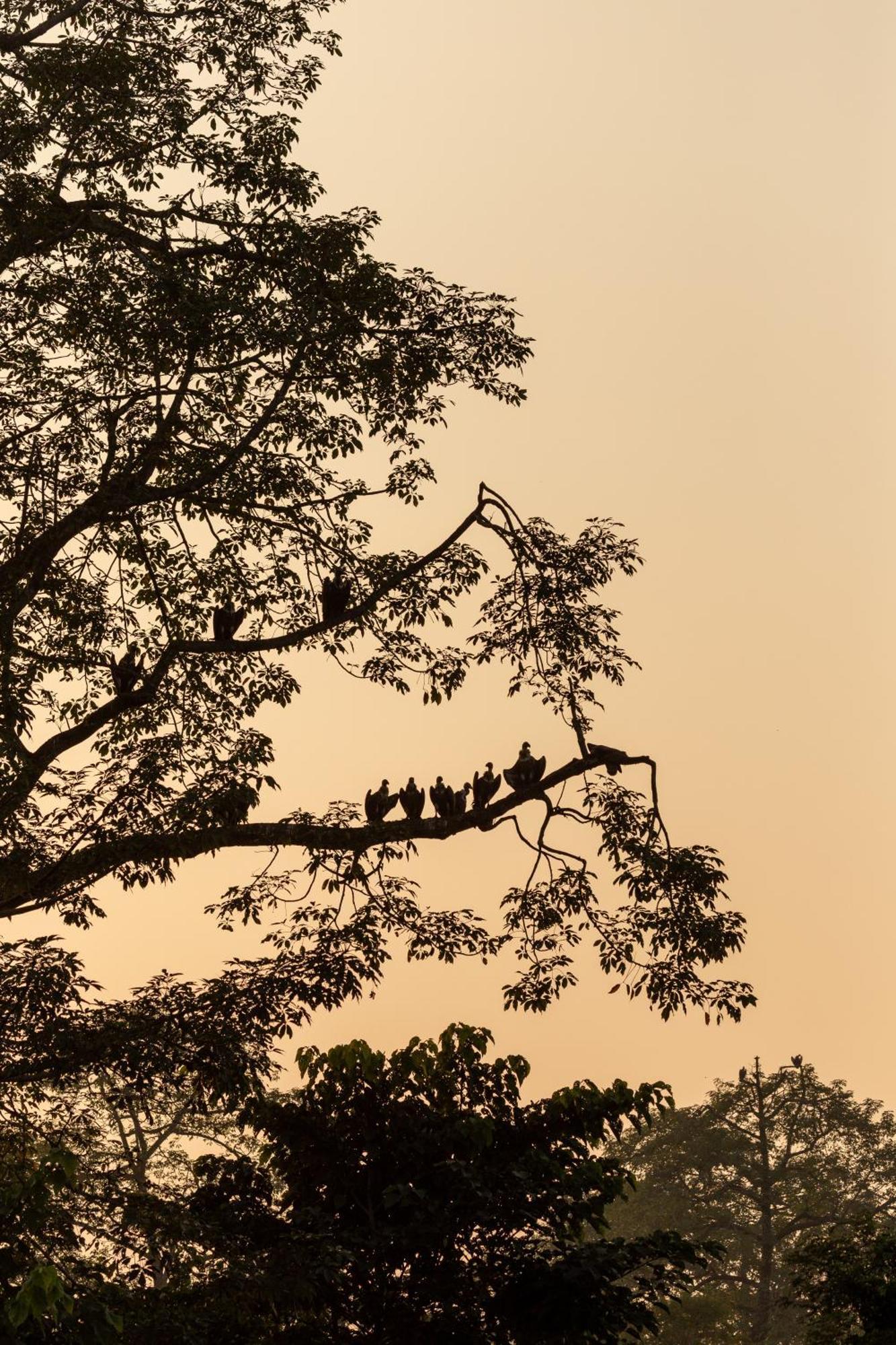 Sanctuary Chitwan National Park Buitenkant foto